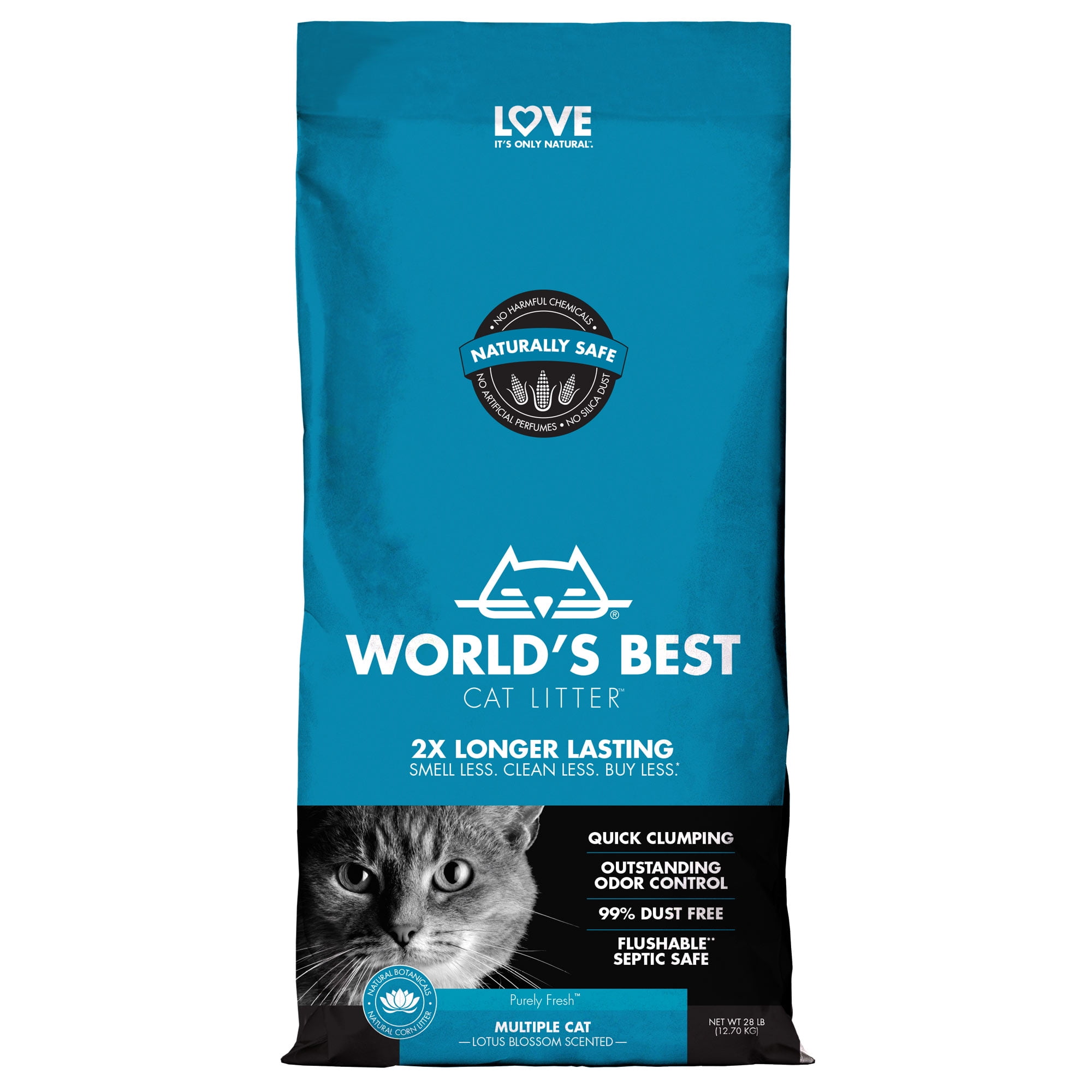 World cat hot sale best litter