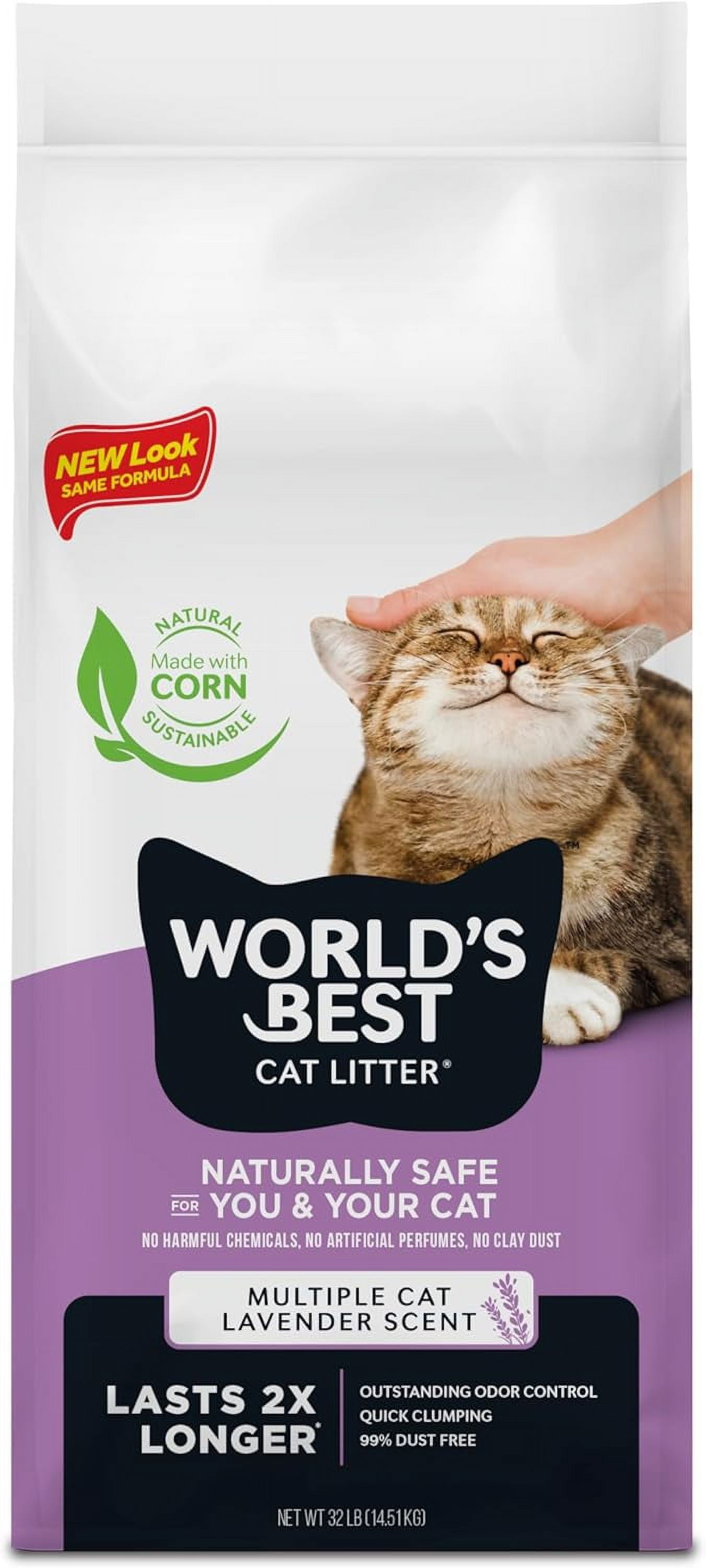 best cat litter for odour