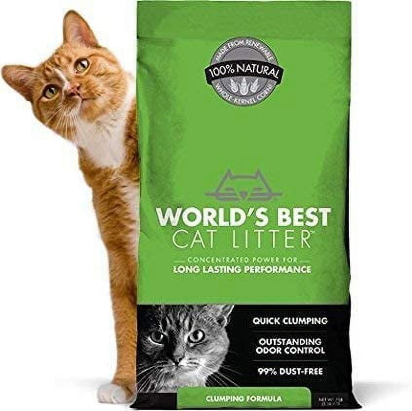 Best rated cat litter for odor control clearance