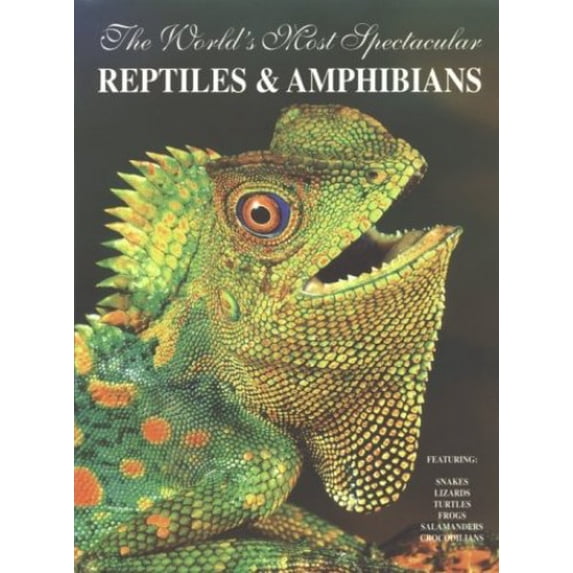 Pre-Owned The World's Most Spectacular Reptiles and Amphinas (Paperback) 1884942067 9781884942068