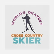 World's Okayest Cross Country Skier Transfer