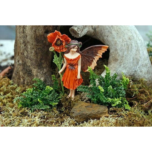 World's Smallest Boston Fern - 2.5" Pot - Terrarium/Fairy Garden/House Plant