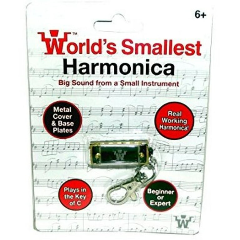 World's 2024 smallest harmonica