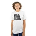 thumbnail image 1 of Worlds Okayest Grandma Funny Cute Women's Plus Size Graphic Tee Brisco Brands 5X, 1 of 5