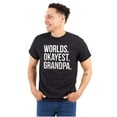 thumbnail image 1 of Worlds Okayest Grandpa Funny Men's Graphic T Shirt Tees Brisco Brands S, 1 of 5