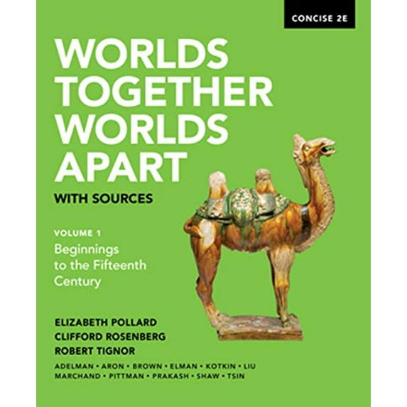 Pre-Owned Worlds Together, Worlds Apart with Sources (Paperback) 0393668541 9780393668544