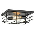 thumbnail image 1 of Worldwide Lighting E30025-001 5 x 12.63 x 12.63 in. Attica 2-Light Flush Mount, Black, 1 of 7