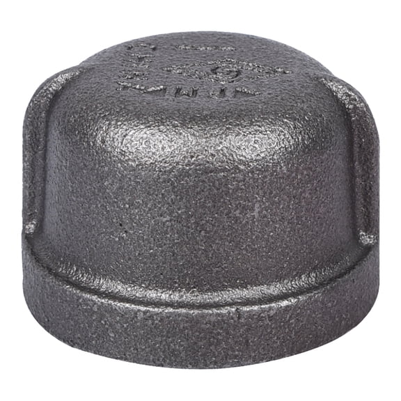 Worldwide Sourcing 18-1B Pipe Cap, 1 in Threaded
