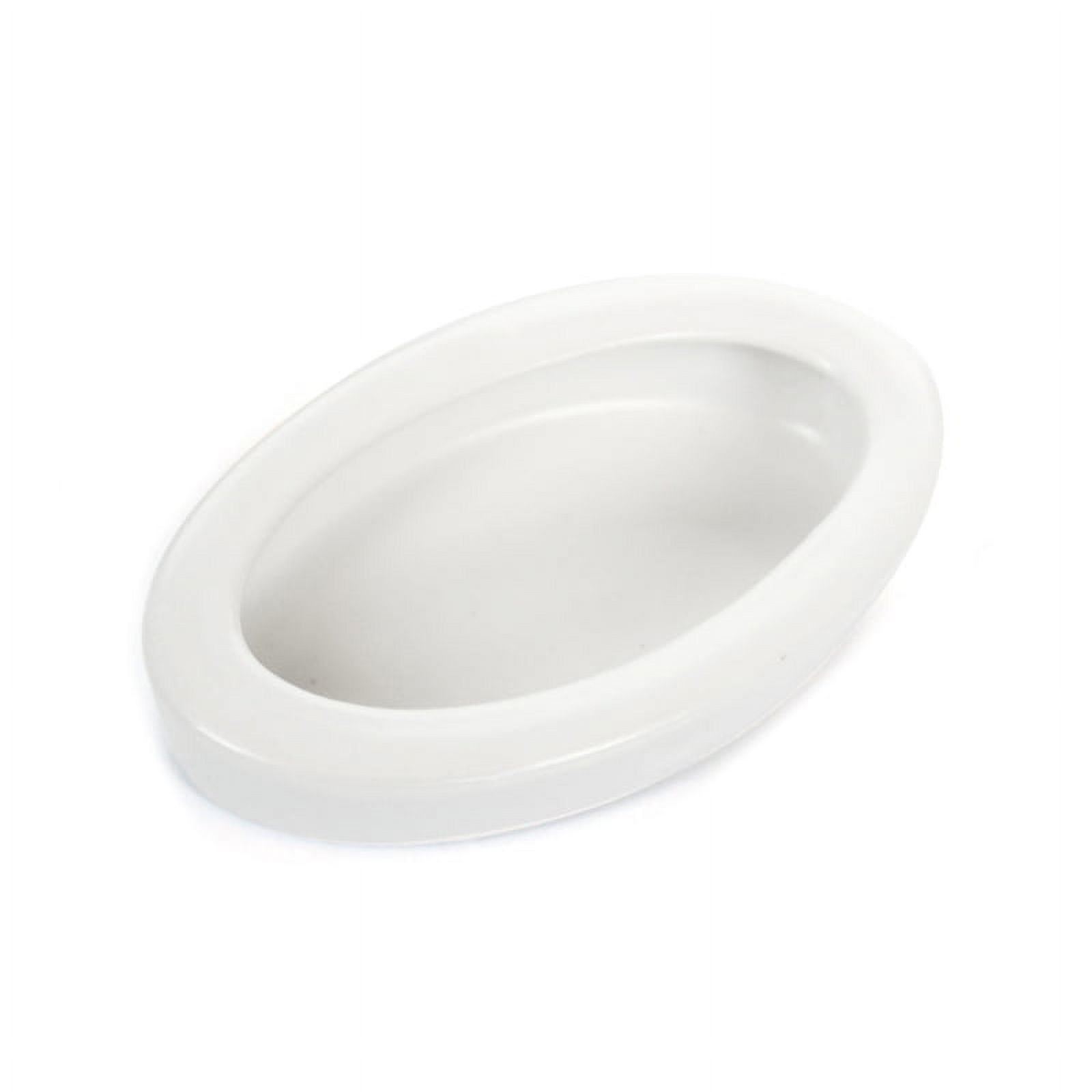 Worm Dish Reptile Food Bowl Ceramics Made for Lizard, Gecko Food Dish