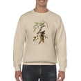 thumbnail image 1 of Worm-Eating Warblers Sweatshirt Men -John James Audubon Designs, Male 5X-Large, 1 of 4