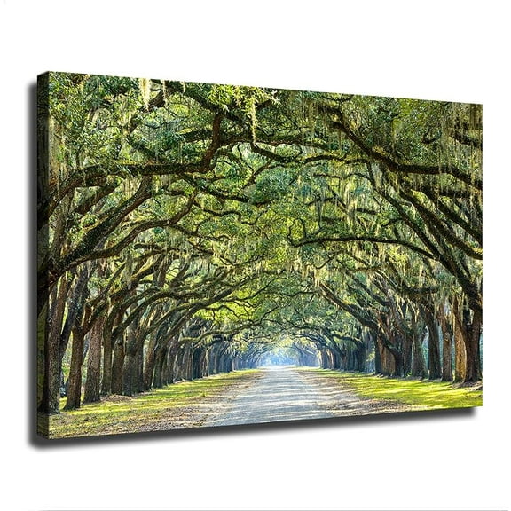 Wormsloe Historic Site Canvas Poster Modern Aesthetic Picture Wall Art Home Office Decoration Painting Holiday