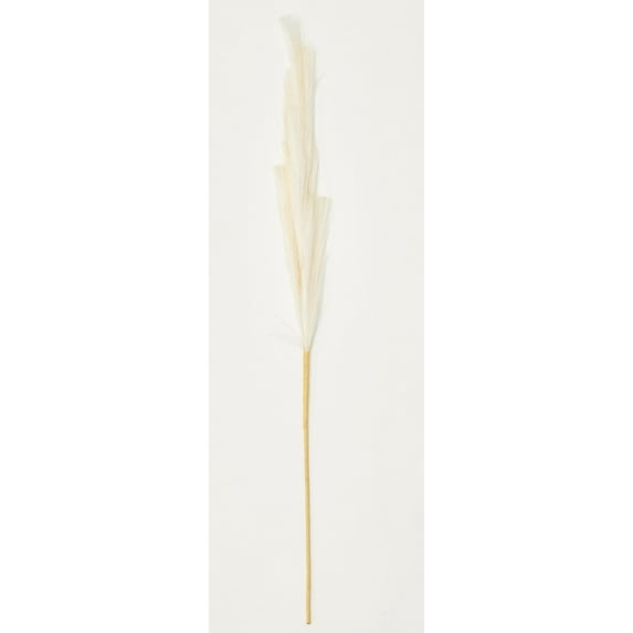 Worth Imports Inc 35" Pampas Grass Spray, Set of 3