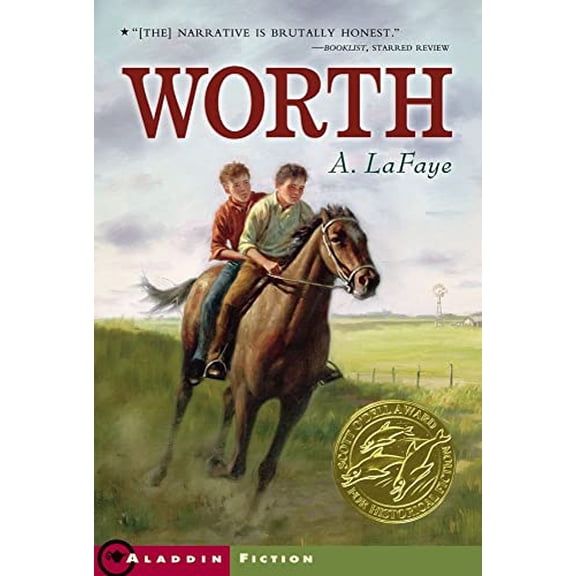 Pre-Owned Worth (Paperback) 9780439913423