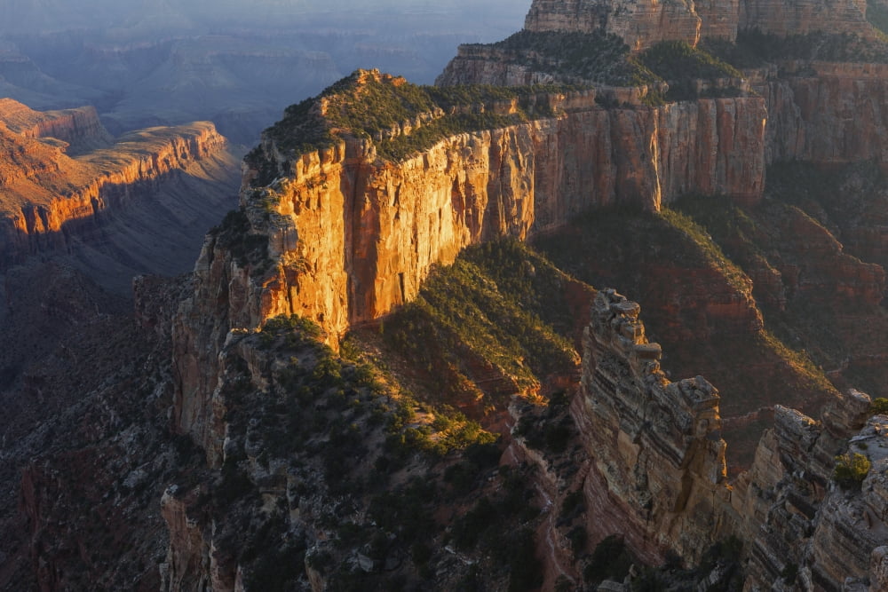 Wotans Throne Grand Canyon National Park Arizona United States of America Canvas Art - Ronald Phillips Design Pics (38 x 24)