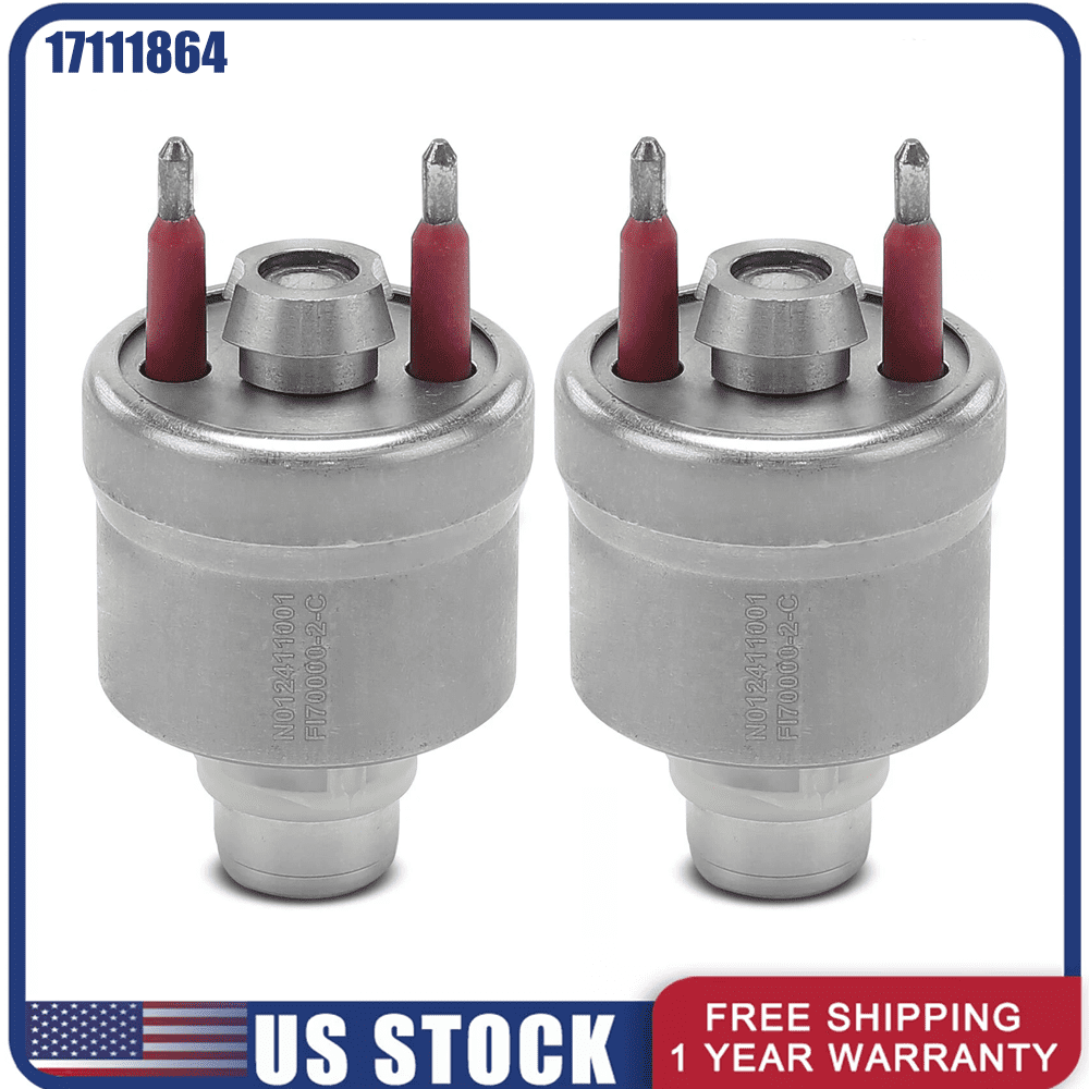 Woudy 2x Fuel Injector for Chevrolet GMC C1500 C2500 K1500 K2500 Cadillac Buick Isuzu