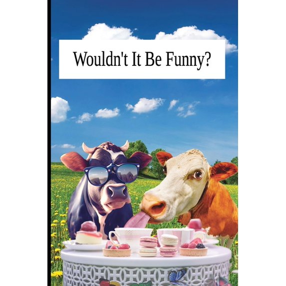Wouldn't It Be Funny, (Paperback)