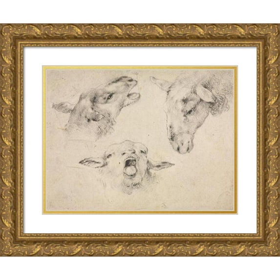 Wouterus Verschuur 24x19 Gold Ornate Framed and Double Matted Museum Art Print Titled - Sheep Heads (Second or Third Quarter 1800s)