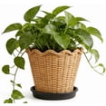 thumbnail image 1 of Woven Flower Pot, Planter, Synthetic Rattan Woven Decorative Flowerpot Container with Detachable Saucer Drip Tray for Indoor Outdoor Potted Houseplants Succulents, 1 of 7