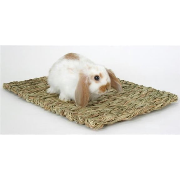 Woven Grass- Mat Medium - RGP-529