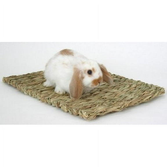 Woven Grass Mat for Small Animals, Brown