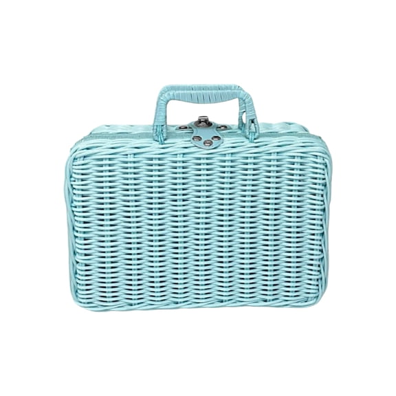 Woven Handheld Storage Case, Portable Organizer For Picnics, Easter Gatherings, Travel, 1 Piece