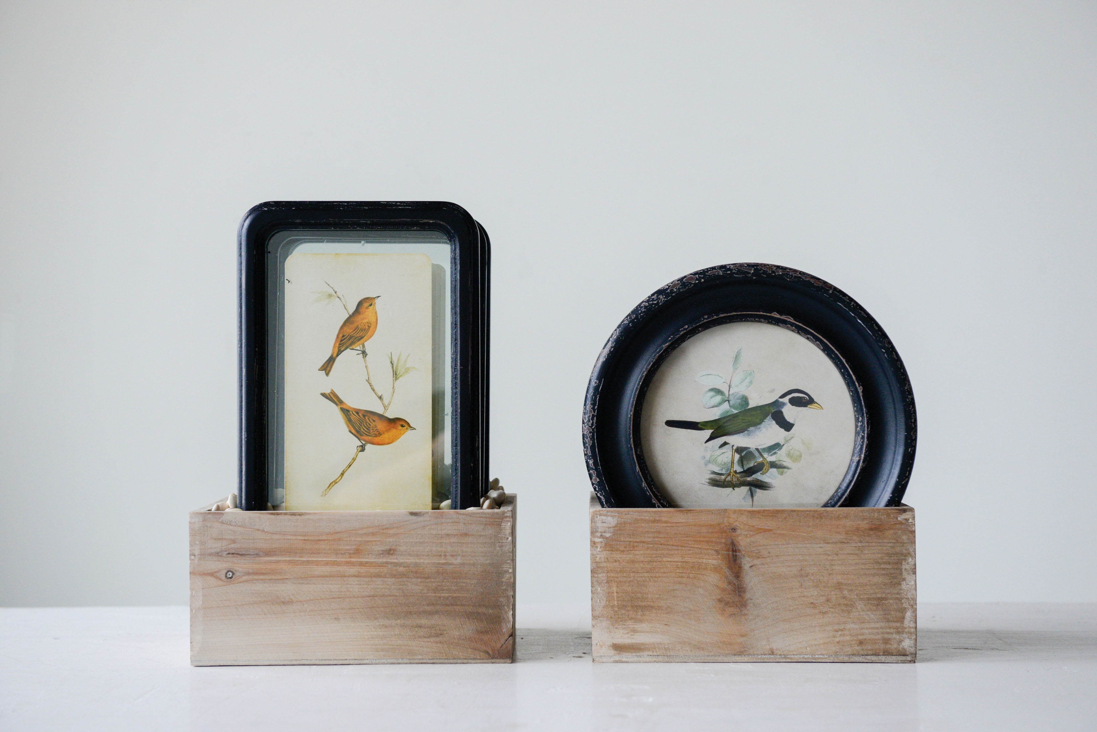 Set of 6 Black Framed Bird Paintings with Floating Effect
