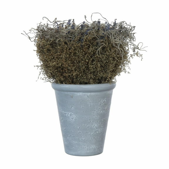 Woven Paths Lavender with Cement Pot