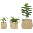 thumbnail image 1 of Woven Square Flower Pot Planter with Leak-Proof Plastic Lining, 1 of 9