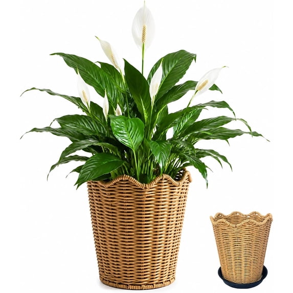 Woven Wicker Planter Basket with Base, 8.6'' Rustic Farmhouse Decorative Rattan Plant Pot, Boho Flower Holder for Indoor Outdoor Patio Home Decor