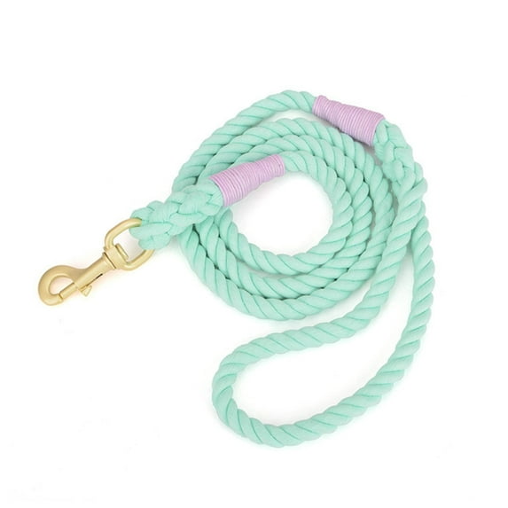 Woven cotton leash for a variety of dog training, walking, hiking Mint Green
