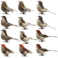 thumbnail image 1 of Wovilon 12Pcs Fake Bird Artificial Feather Foam Bird Christmas Tree Decor Perched Woodland Birds Ornament for Birthday Gift Bird Model, Brown, 1 of 9