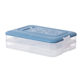 Snack Box Container, Durable Dumpling Snack Tray, Timekeeping Multi-Layer  Snack Box Container, Portable Dumpling Organizer and Crisper, Food-Grade  PET