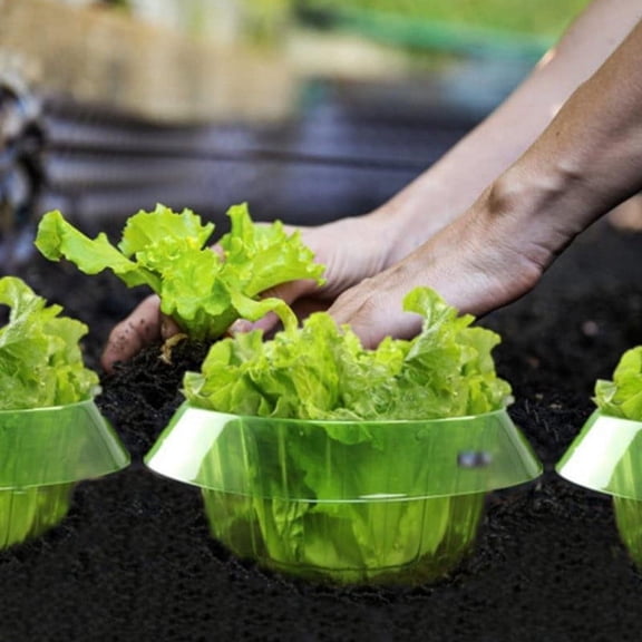 Wovilon Garden Cloches10 Pack Plastic Slug & Snail Plant Protection Collars,Snail Defense without Chemistry, Snail Collar Protects Plants to Get Better. (Emerald green)