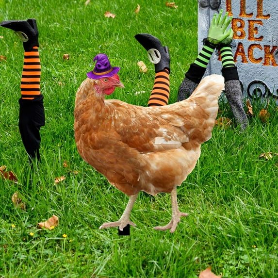 Wovilon Halloween Decorations Indoor Acrylic Outdoor Scene Yard Art Simulated Chicken Decoration Courtyard Decoration Garden Double Sided Ground Insertion Board