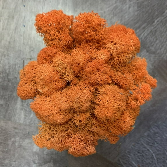 Wovilon Home Decor for Living Room Artificial Green Plant Immortal Fake Flower Moss Grass for Home Living Room Decorative Wall Diy Flower Mini Colorful Accessories