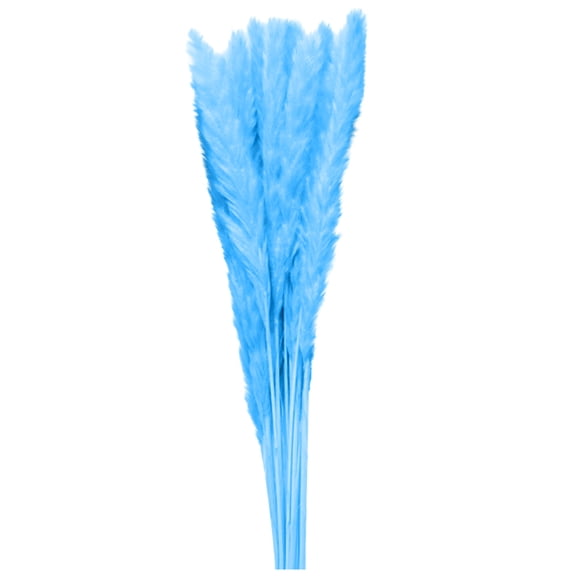 Wovilon Home Decor for Living Room White Natural Color Bouquet Of Small Re-Ed Grass Dried Flower Decoration