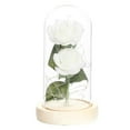 thumbnail image 1 of Wovilon Romantic Glass Rose Wedding Decoration Home Furnishing Holiday Gifts, 1 of 3