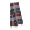 thumbnail image 1 of Wovix Winter Gifts Warm Soft Scarf for Women Shawl with Tassel Design Plaid Large Oversized Scarves Wraps For Daily All Winter Warm, 1 of 3