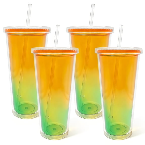 WowProLiv 4 Piece Set of 4 Double-Walled Plastic Drinking Cups with Lids and Straws 23oz 23 Ounce