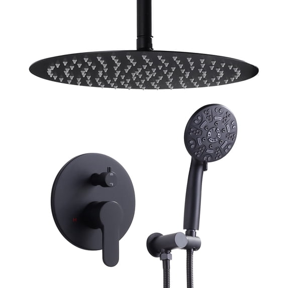 Wowow 8-spray 12in. Dual Shower Head and Handheld Shower Head in Matte Black