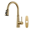 thumbnail image 1 of Wowow Gold Kitchen Faucet with Sprayer,Pull Out Kitchen Faucet with Deck Plate & 3 Functions, 1 of 1