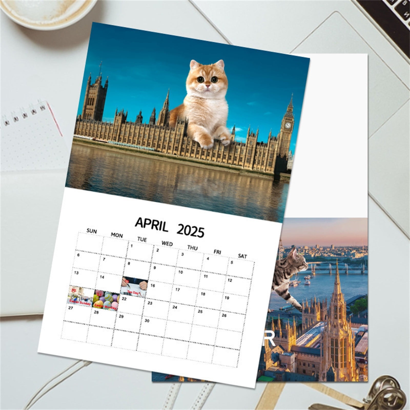 Wozhilaka 20252026 Calendar for Wall Table Decor 2025 City Cat