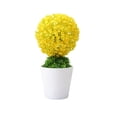 thumbnail image 1 of Wozhuo Artificial Money Tree Bonsai Grass Ball Potted Plant for Indoor Tabletop Decor, 1 of 6