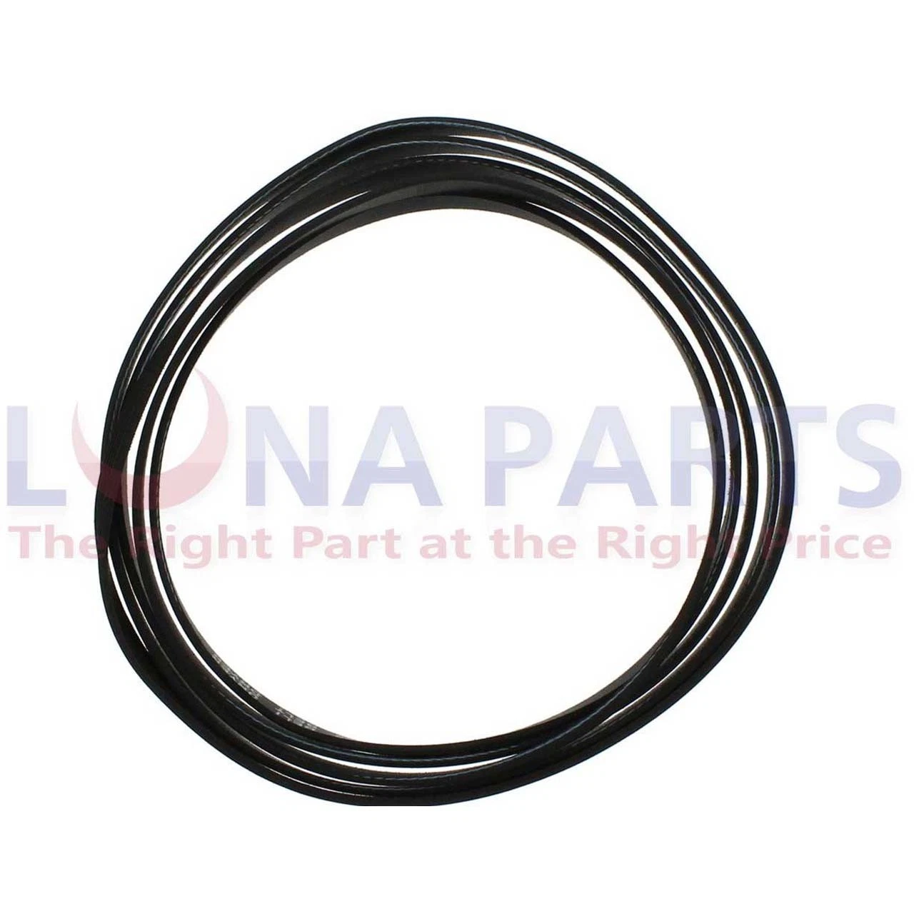 Wpw10205415 33002535 Ap6017004 35001137 6602-001314 Ps11750299 Dryer Belt