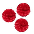 thumbnail image 1 of Wrapables® 12" Set of 3 Tissue Pom Poms Party Decorations for Weddings, Birthday Parties Baby Showers and Nursery Décor, Red, 1 of 3