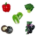 thumbnail image 1 of Wrapables 3D Resin Fridge Magnets, Food Simulation, Succulents, Famous Faces Refrigerator Magnets for Kitchen (Set of 5), Vegetables, 1 of 7