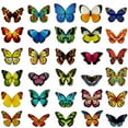 thumbnail image 1 of Wrapables Magnetic Butterfly Bookmarks, Page Marker, Foldable Butterfly Page Clips (Set of 30), 1 of 6