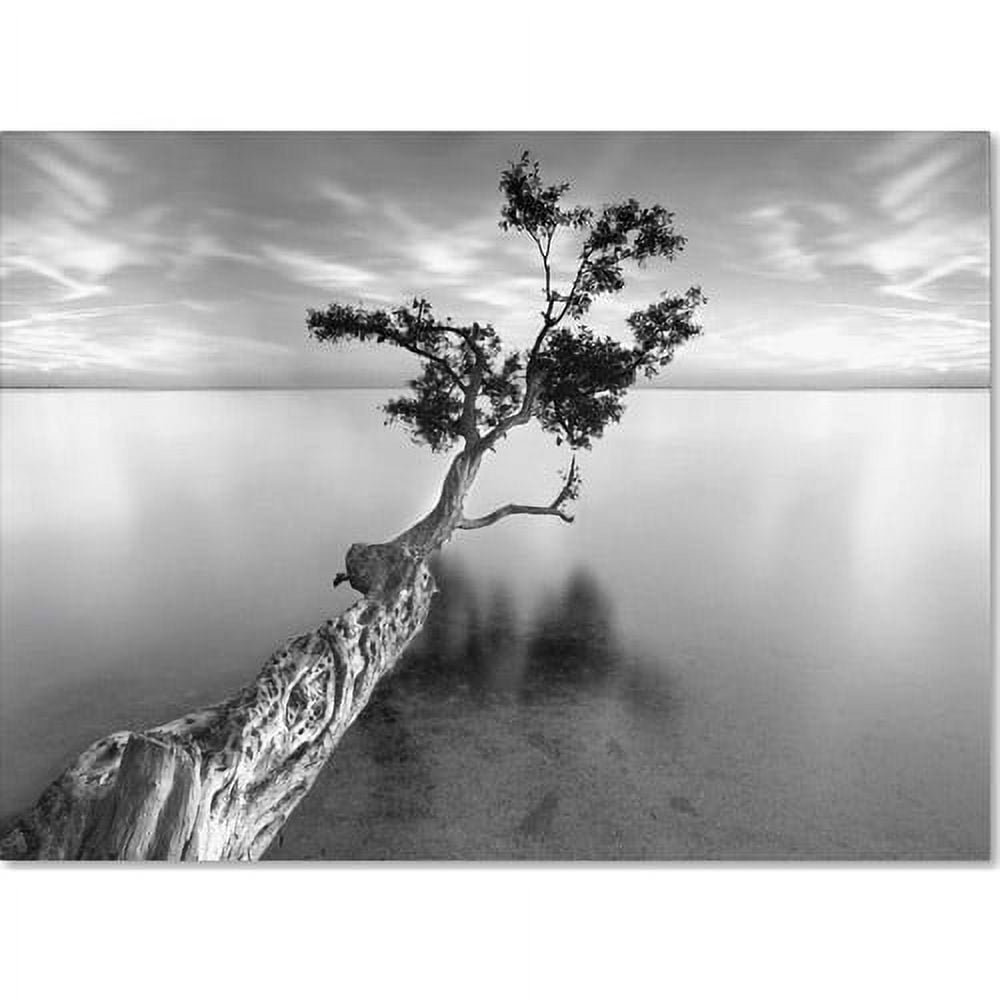 Large Black and White Tree Photography Canvas Art