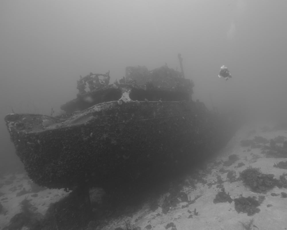 Wreck diving on the Superior Producer in Curacao Canvas Art - Brent BarnesStocktrek Images (32 x 25)