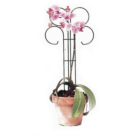 Wren 24" High x 10" Wide Scroll Pot Trellis - Set of 2